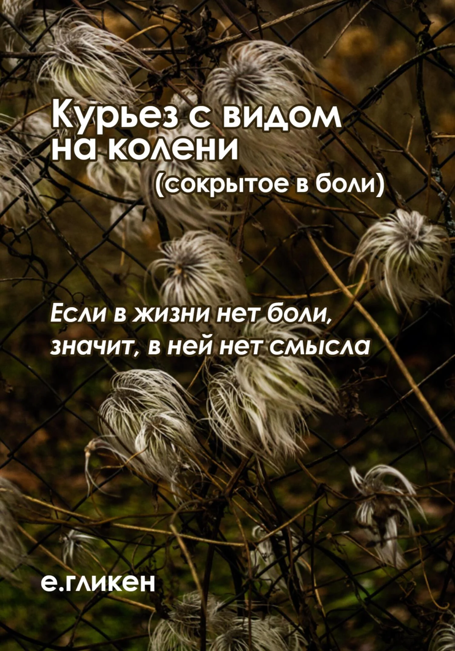 Обложка Курьез с видом на колени (сокрытое в боли)