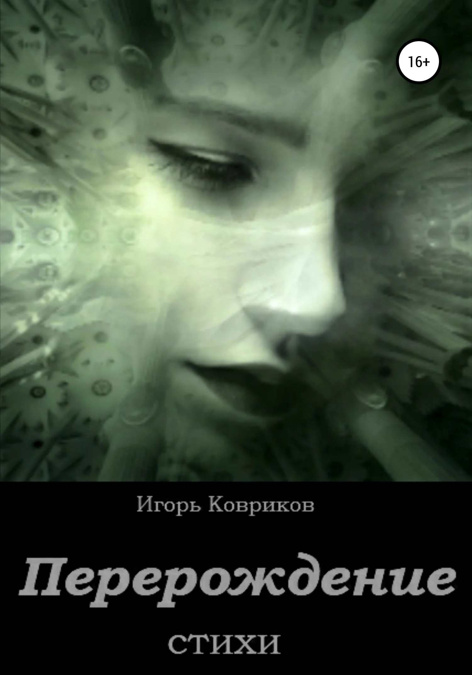 Обложка Перерождение