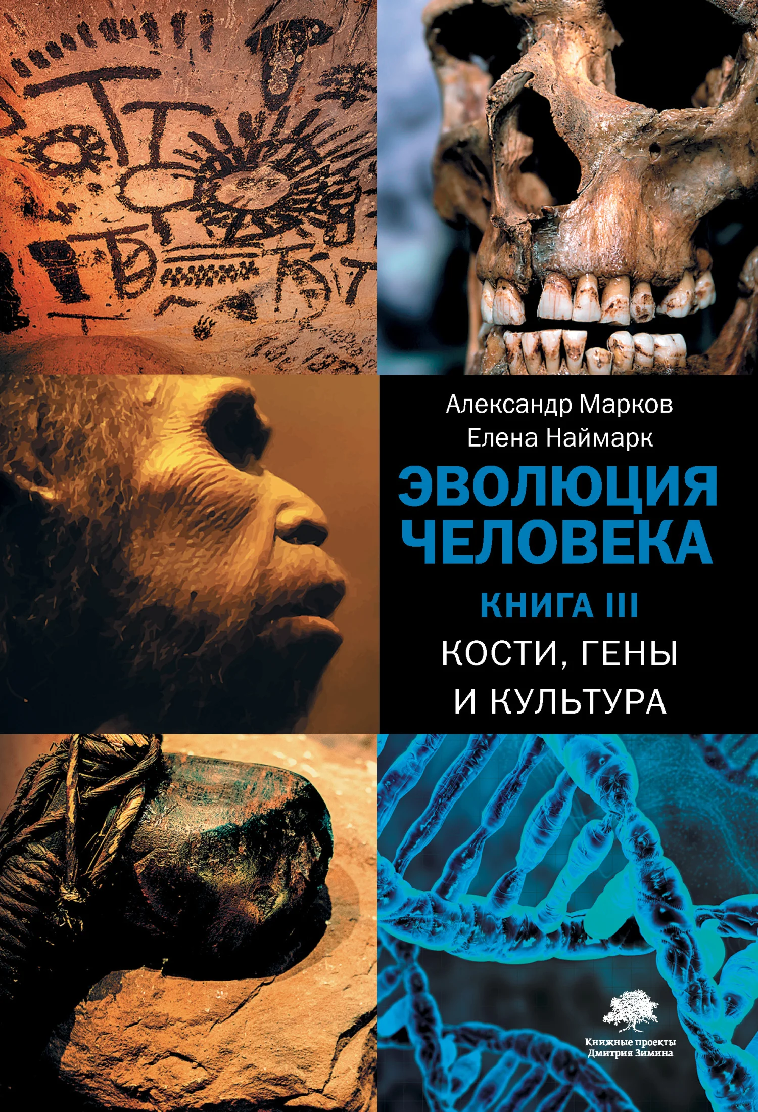 Обложка Эволюция человека. Книга III. Кости, гены и культура