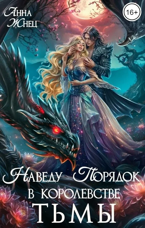 Обложка Наведу порядок в королевстве тьмы