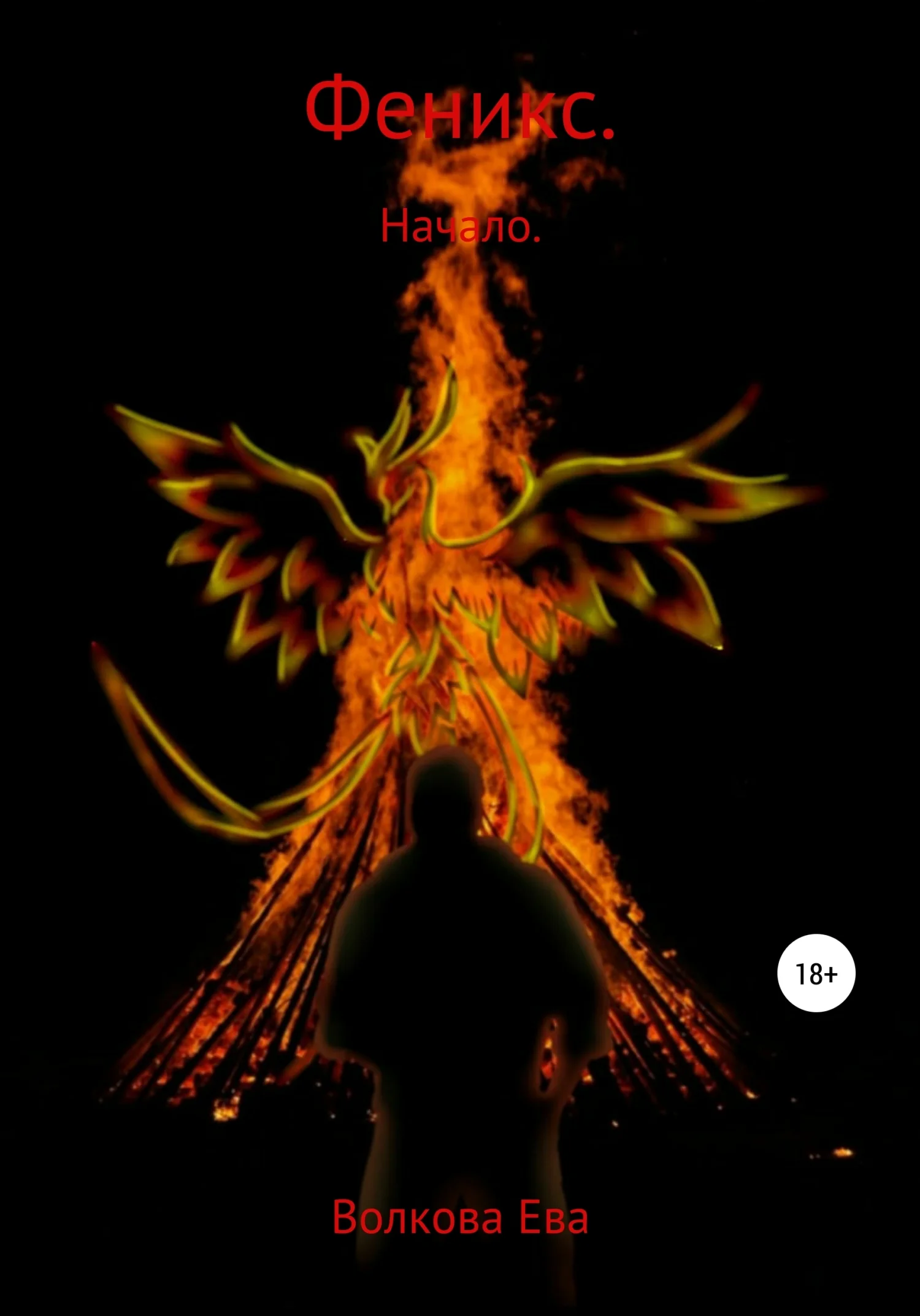 Обложка Феникс. Начало