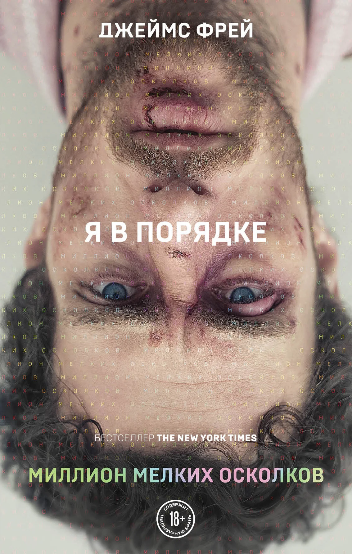 Обложка Миллион мелких осколков