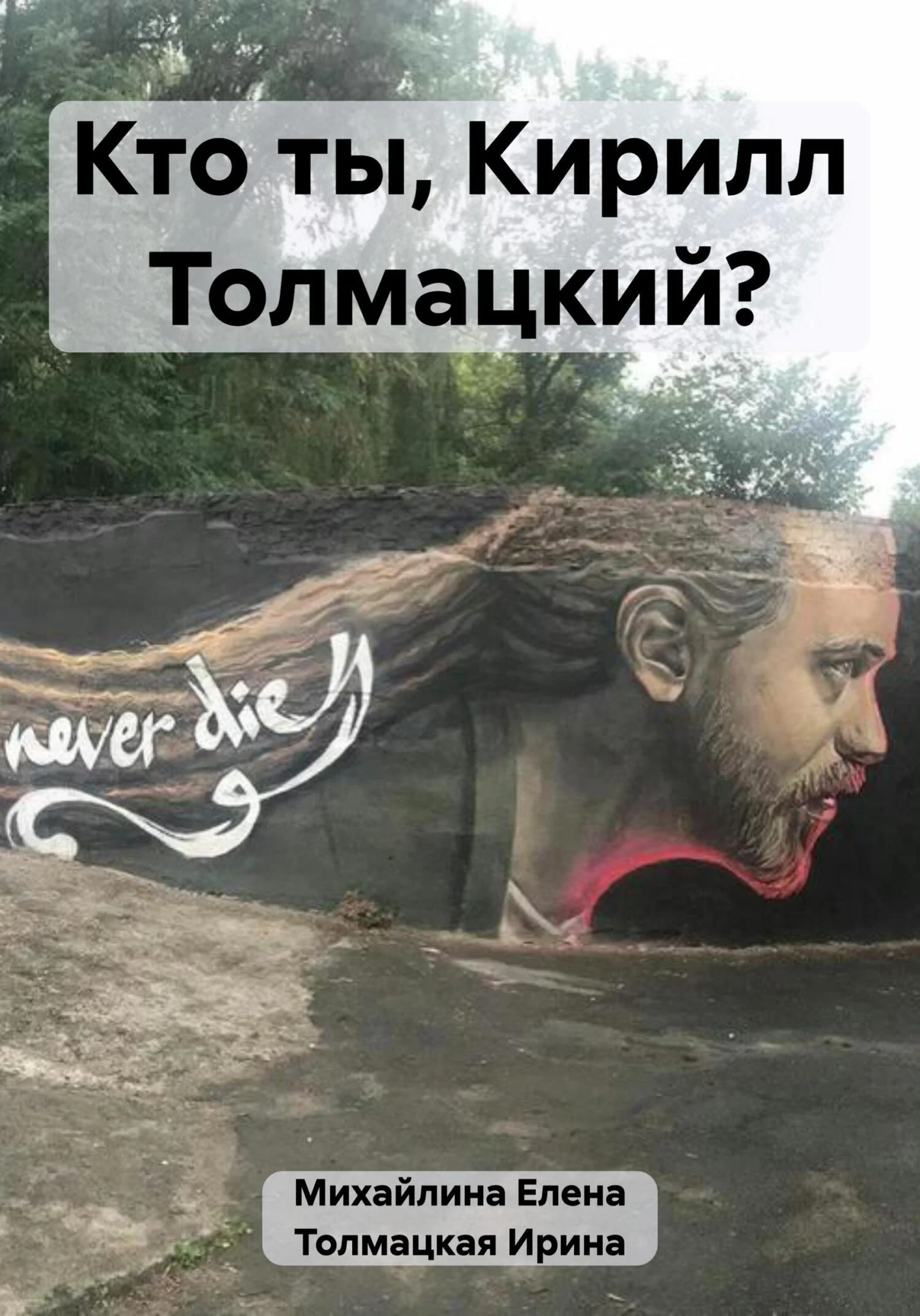 Обложка Кто ты, Кирилл Толмацкий?