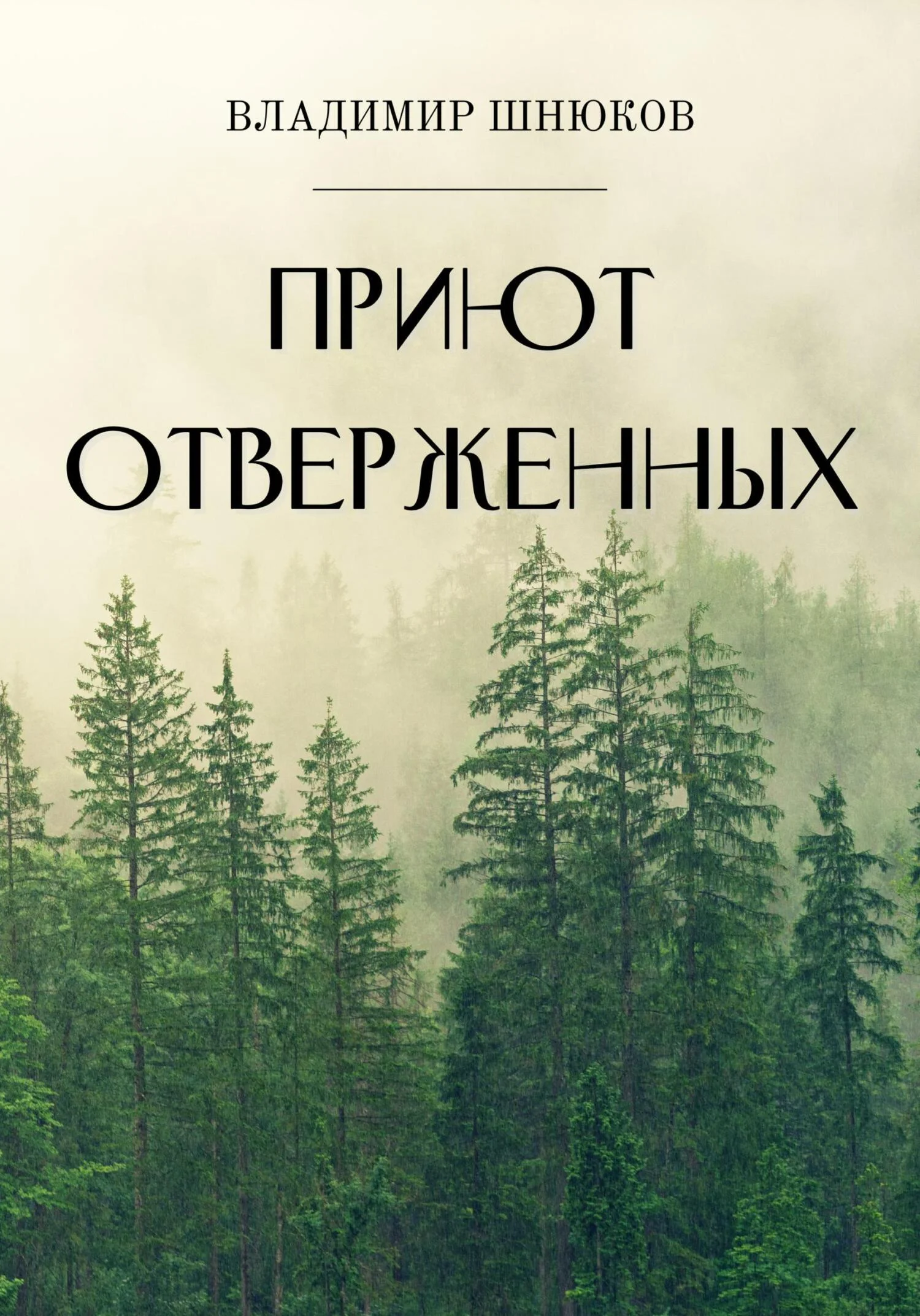 Обложка Приют отверженных