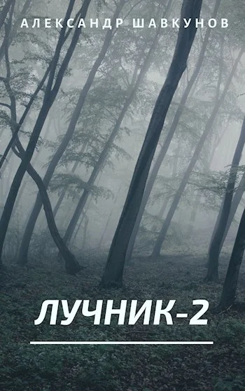 Обложка Лучник 2