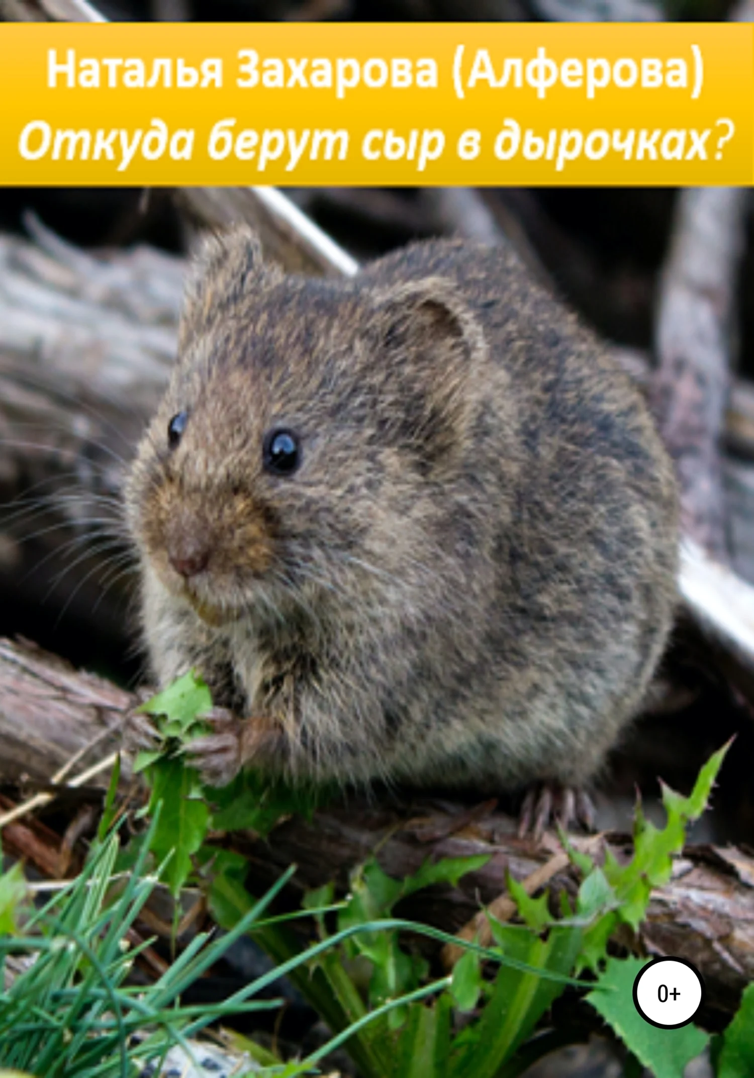 Обложка Откуда берут сыр в дырочках?