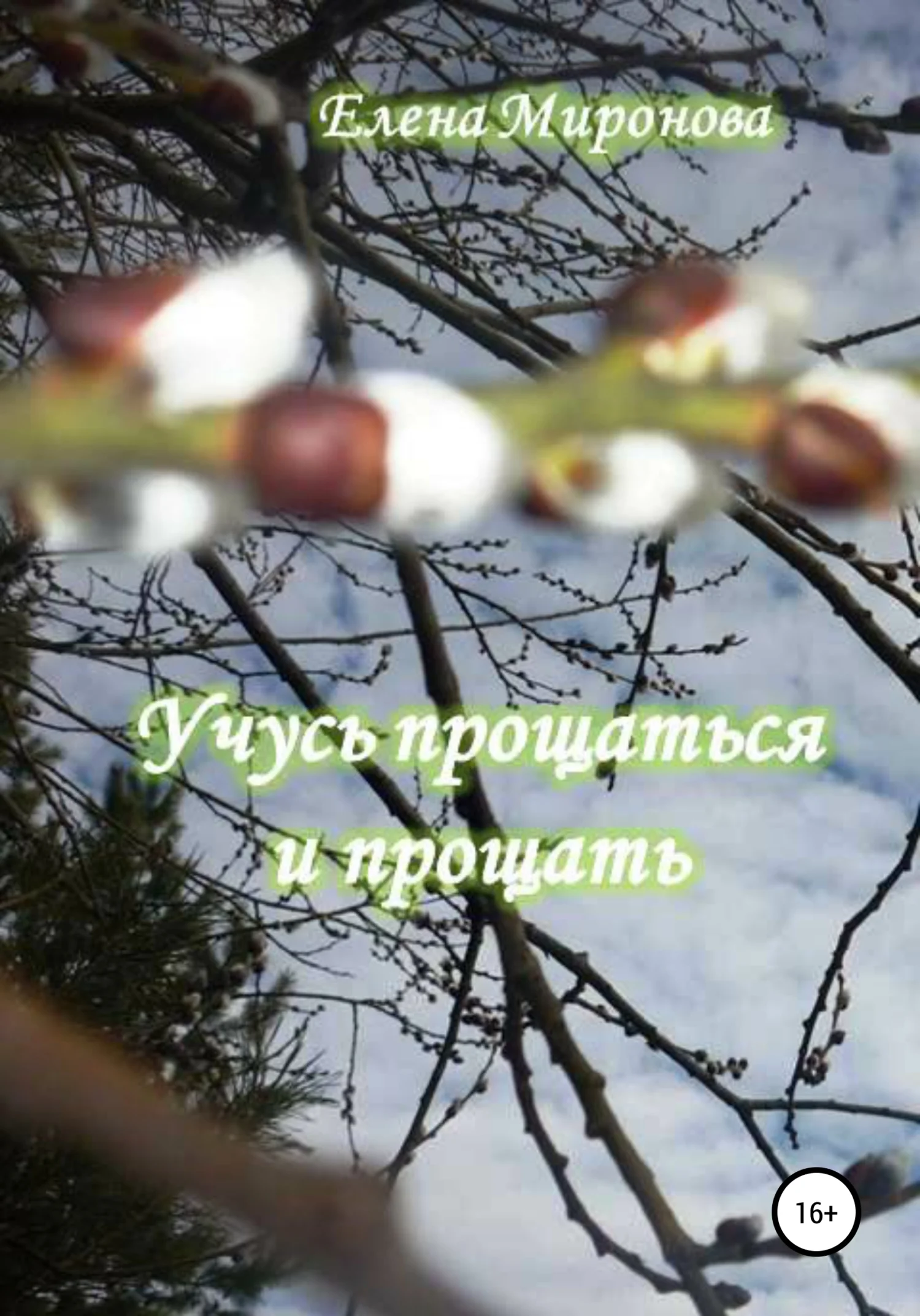 Обложка Учусь прощаться и прощать