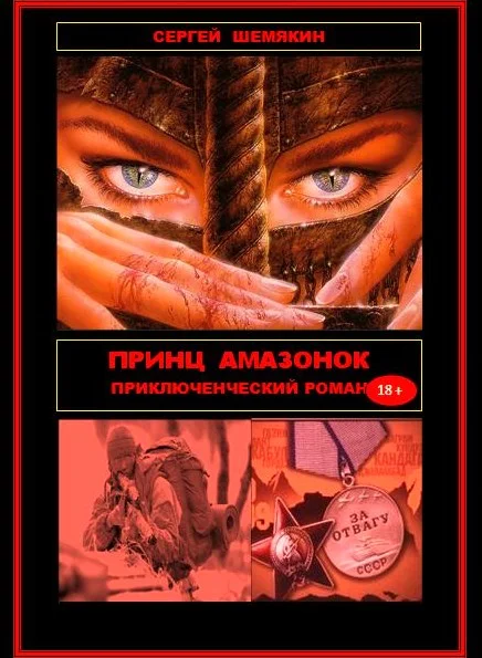 Обложка Принц амазонок