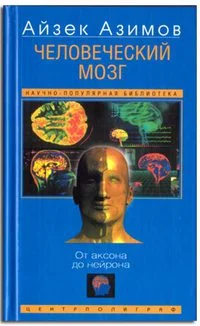 Обложка Человеческий мозг