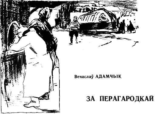 Обложка За перагародкай