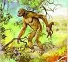 Обложка О происхождении человека