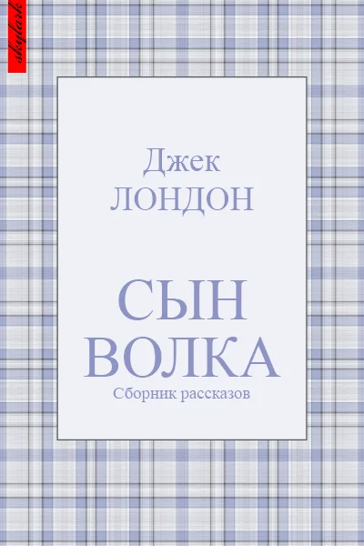 Обложка Сын Волка