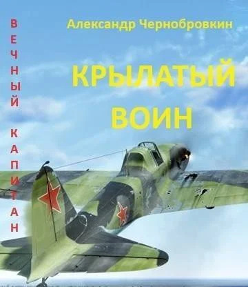 Обложка Крылатый воин