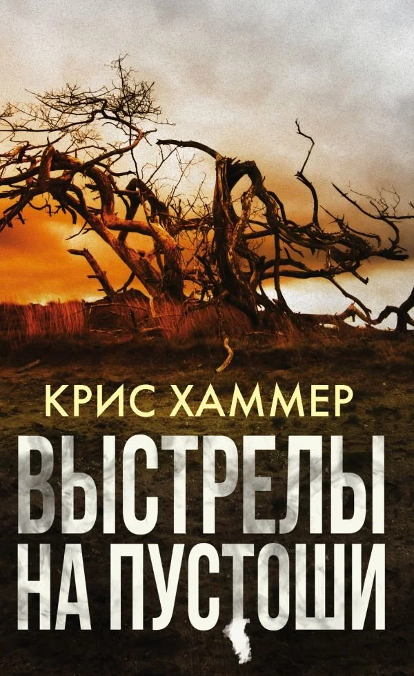 Обложка Выстрелы на пустоши