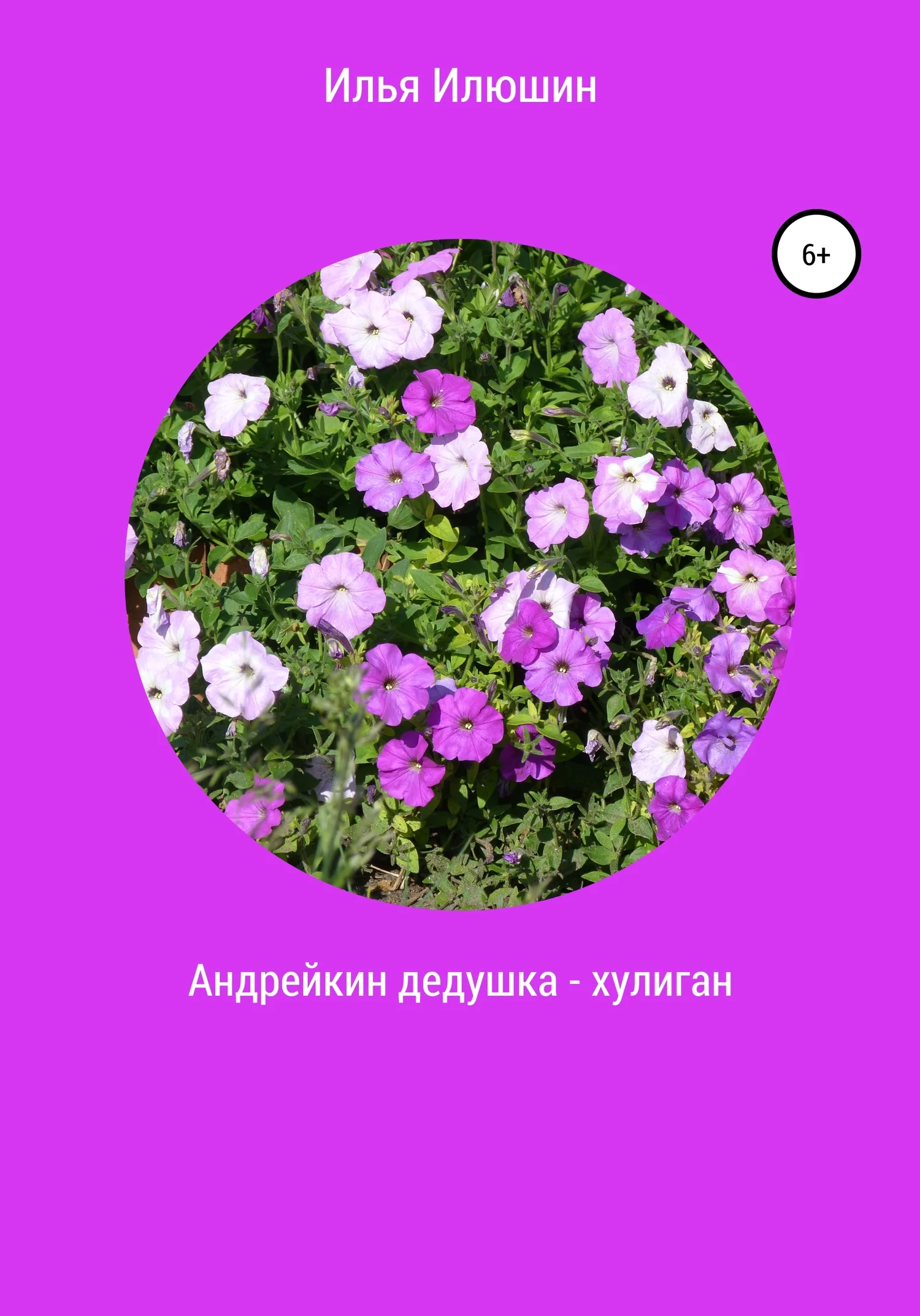 Обложка Андрейкин дедушка – хулиган