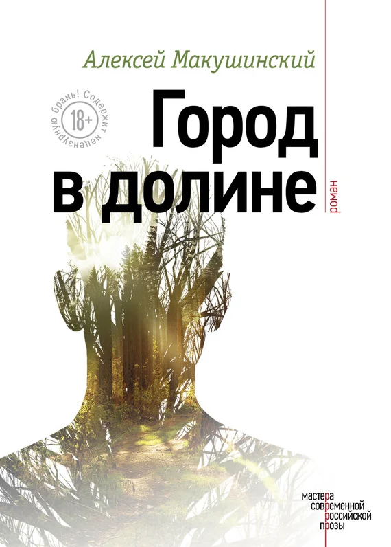 Обложка Город в долине