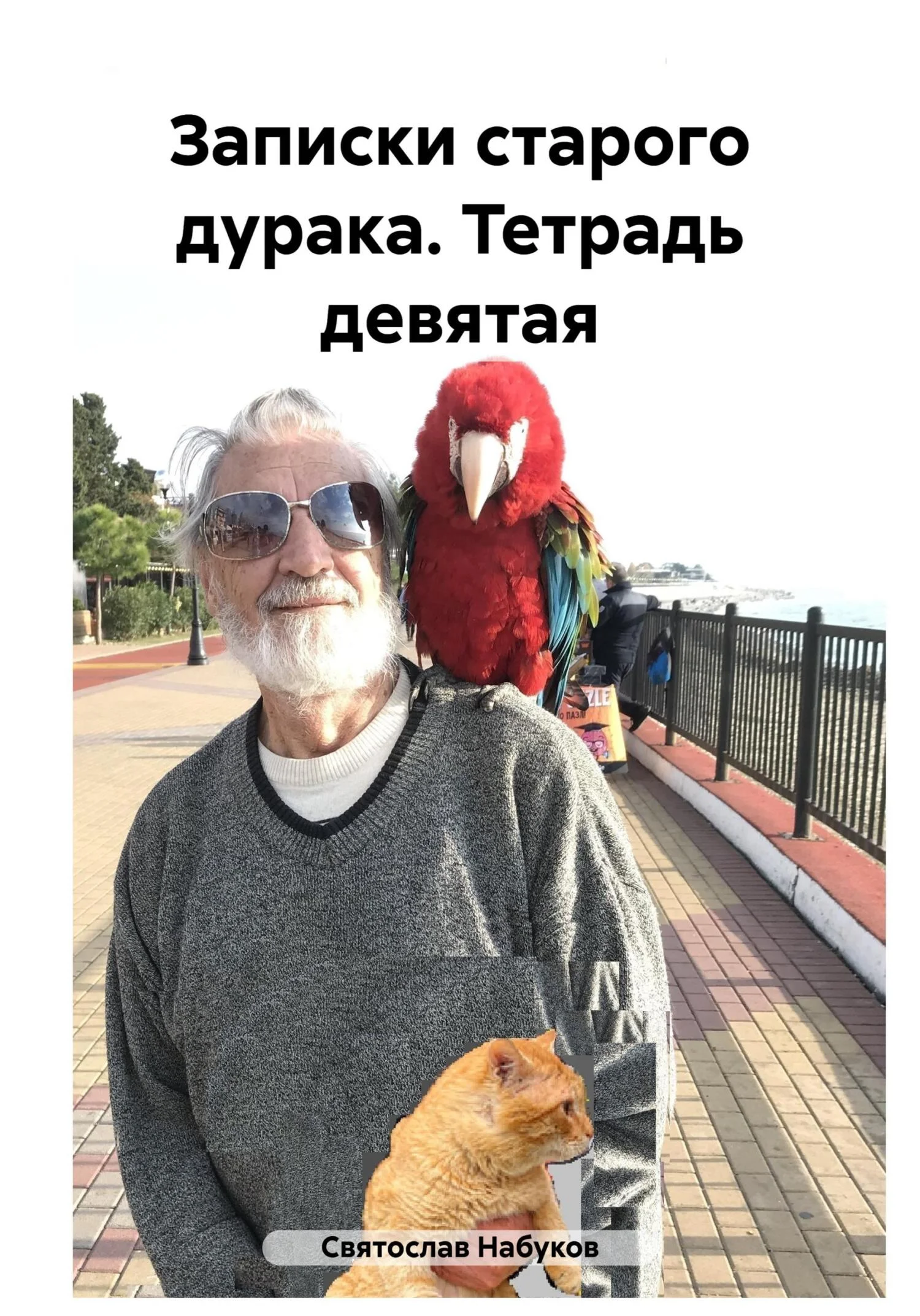 Обложка Записки старого дурака. Тетрадь девятая