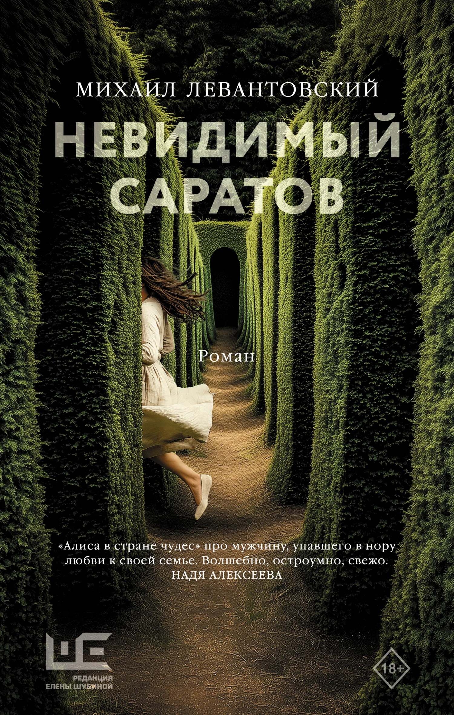 Обложка Невидимый Саратов