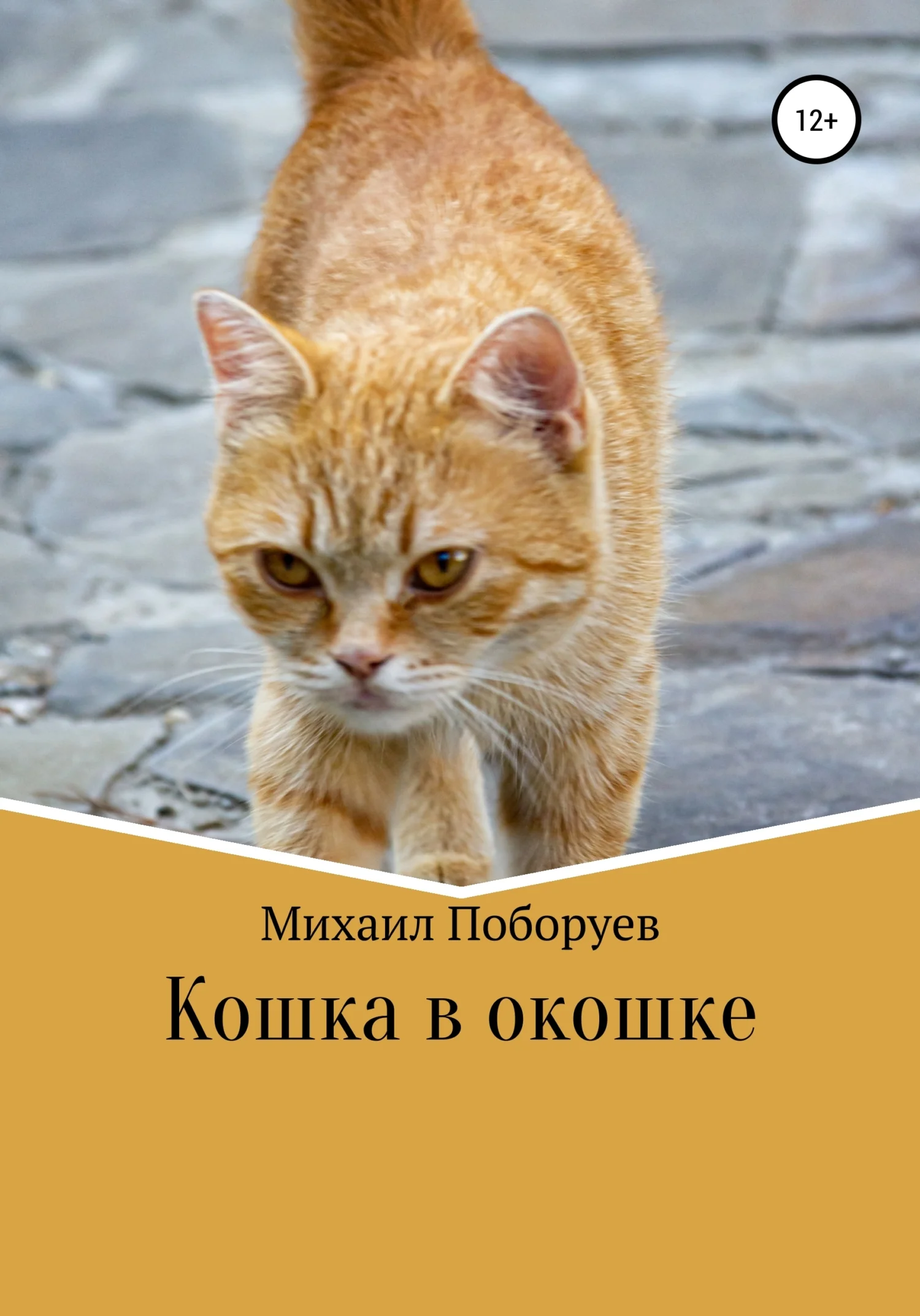 Обложка Кошка в окошке
