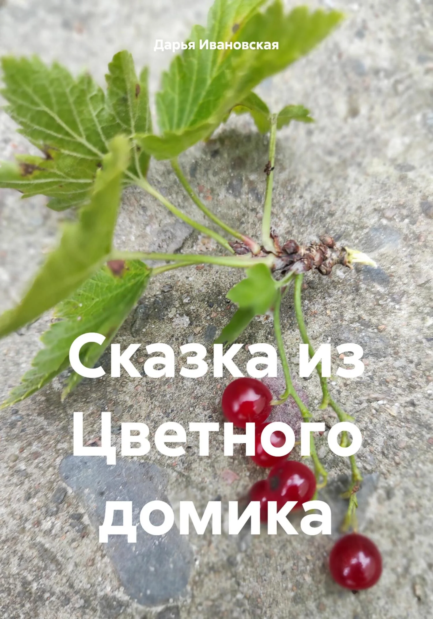 Обложка Сказка из Цветного домика
