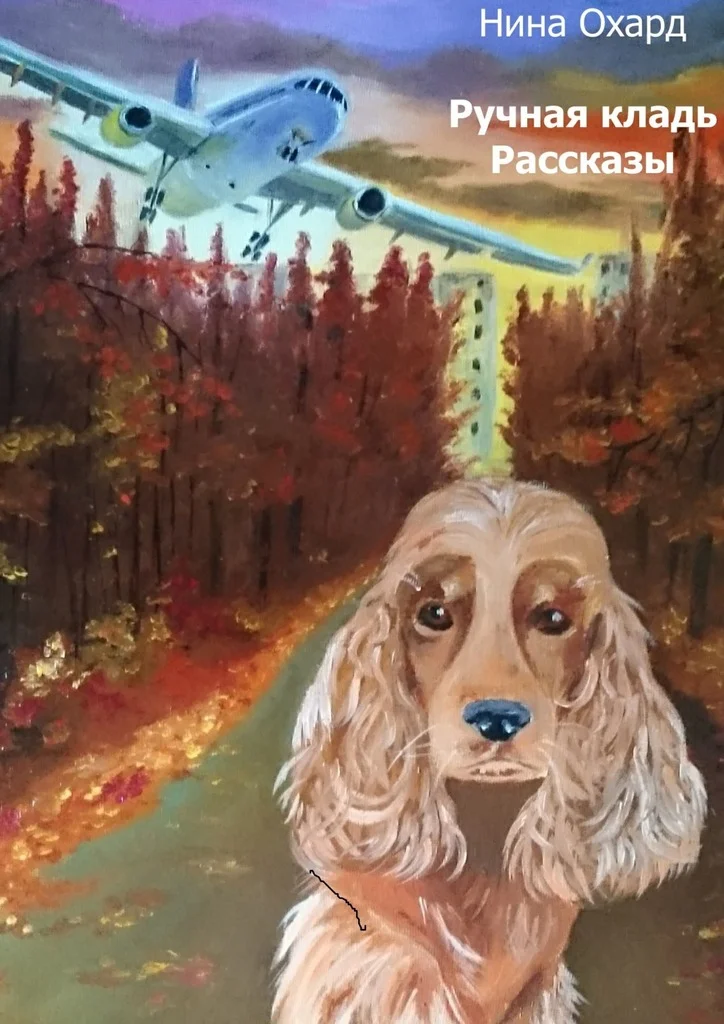 Обложка Ручная кладь