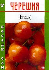 Обложка Черешня