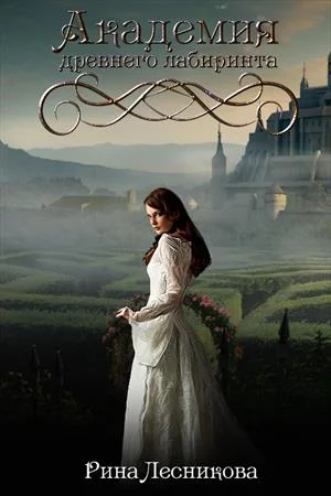 Обложка Академия древнего лабиринта