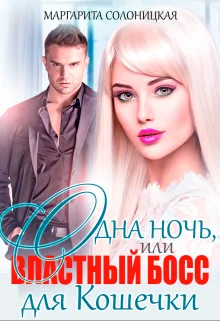 Обложка Одна ночь, или Два босса для Белоснежки