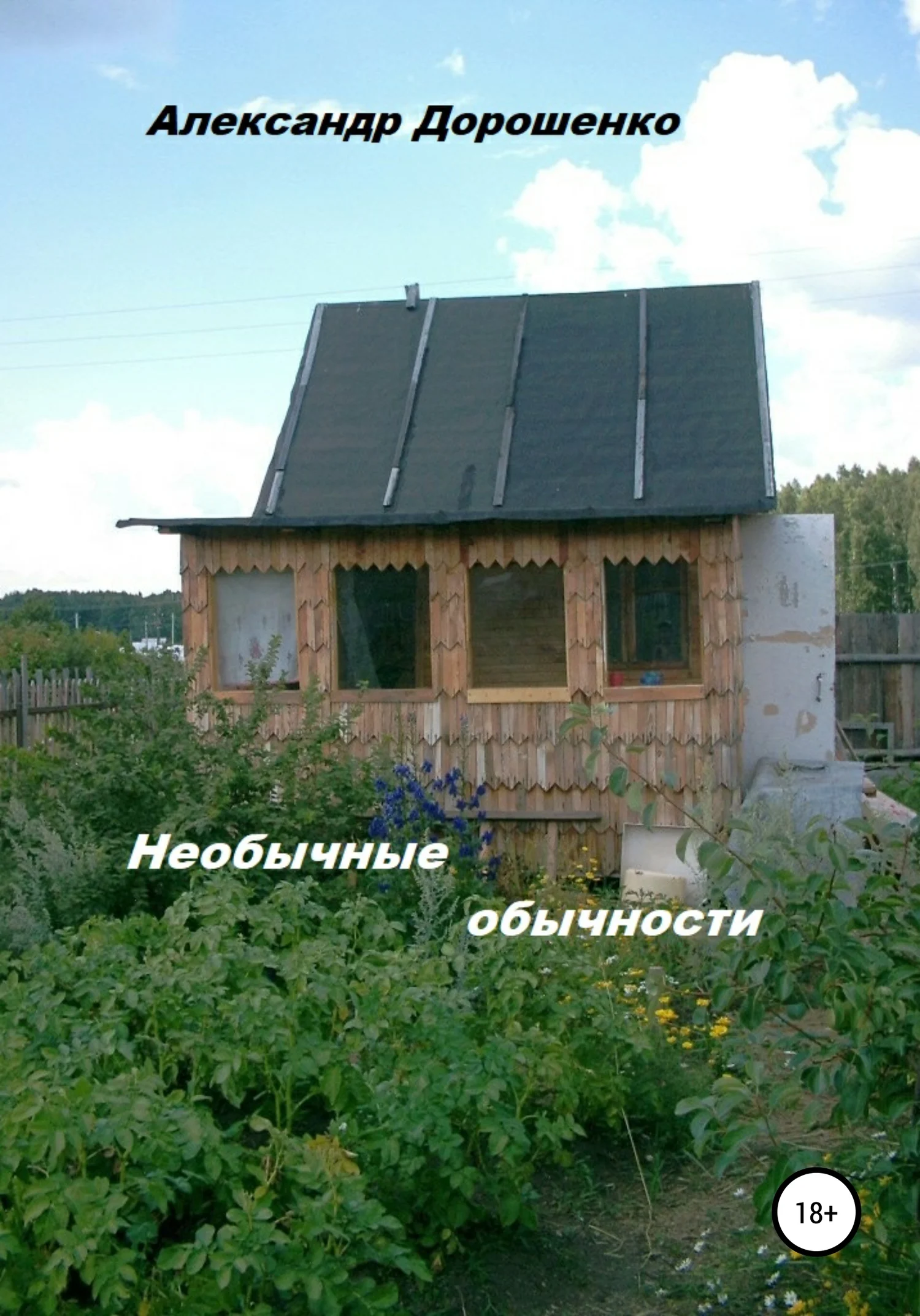 Обложка Необычные обычности