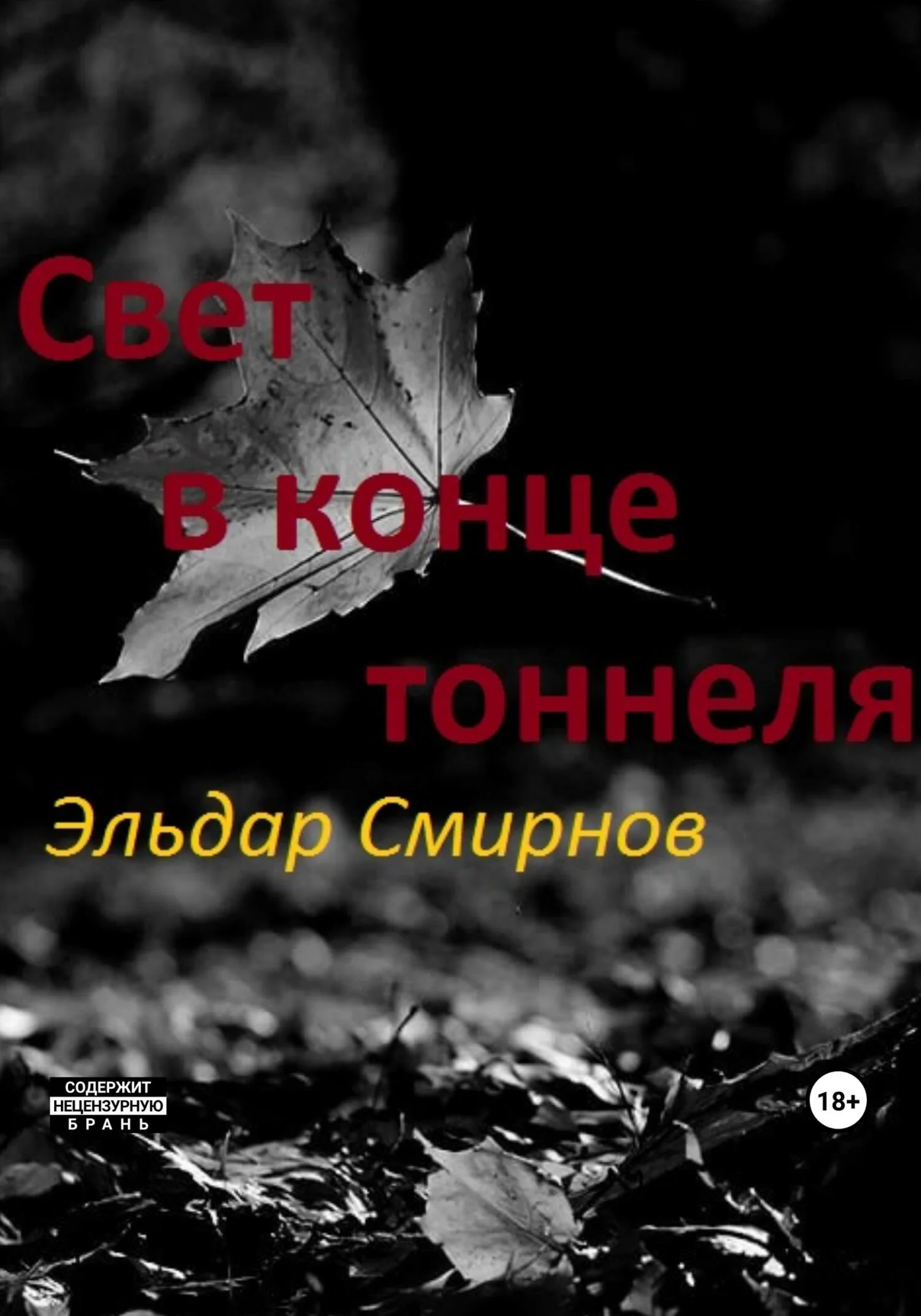 Обложка Свет в конце тоннеля