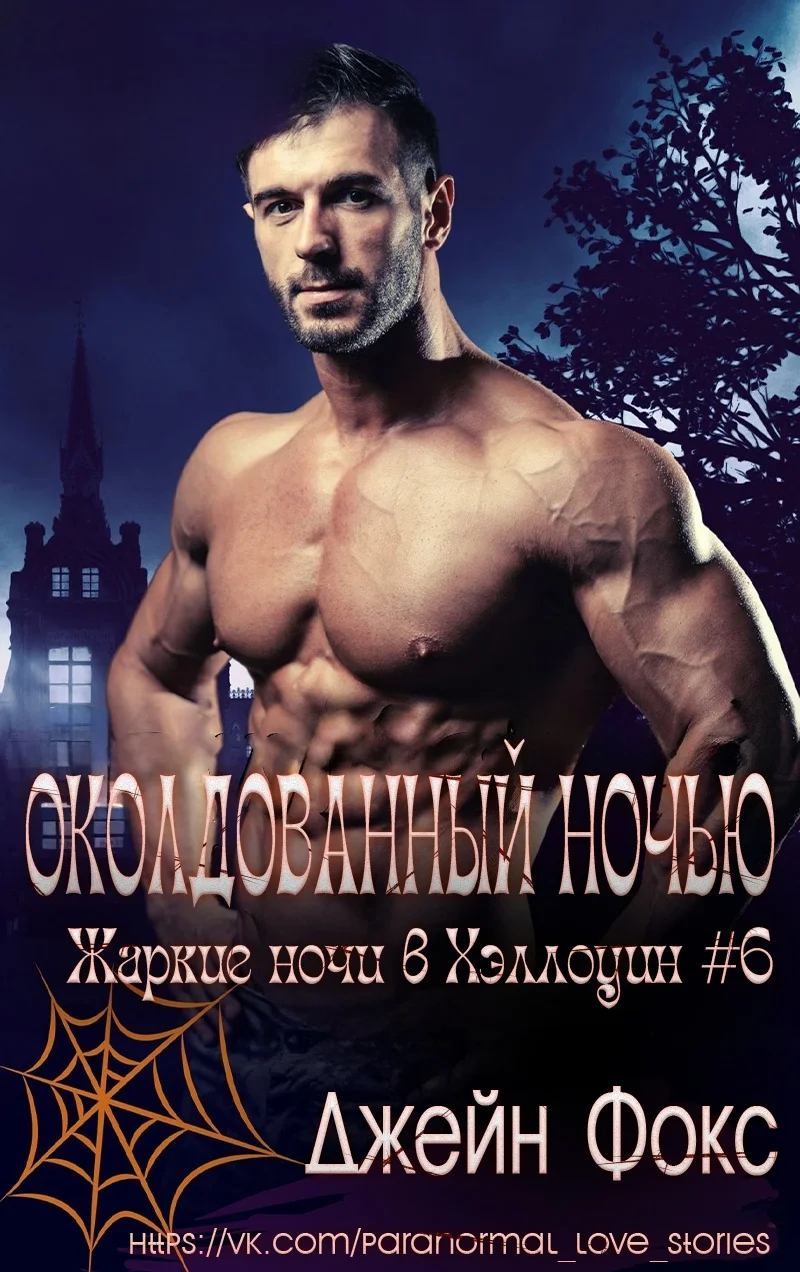 Обложка Околдованный ночью