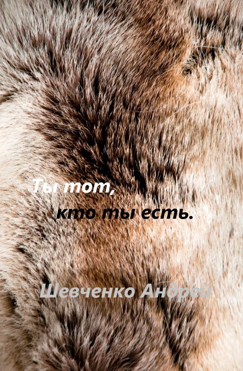 Обложка Ты тот, кто ты есть