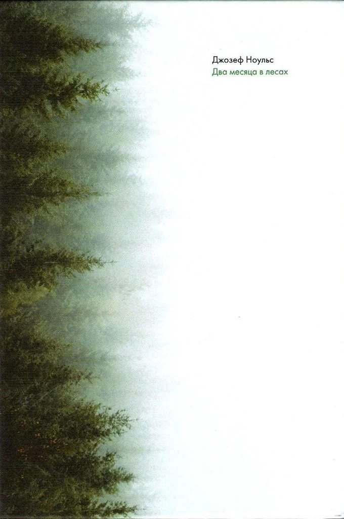 Обложка Два месяца в лесах