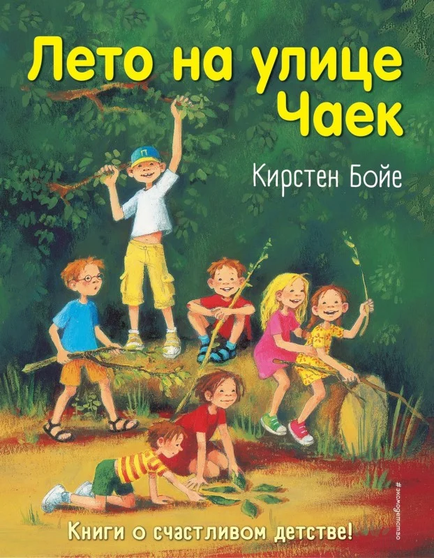 Обложка Лето на улице Чаек