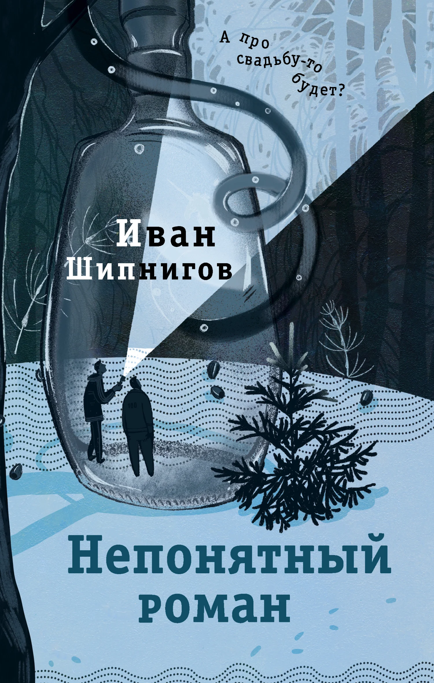 Обложка Непонятный роман