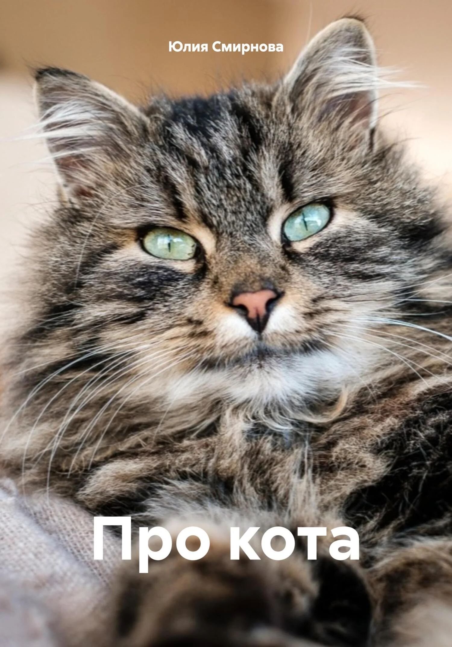 Обложка Про кота