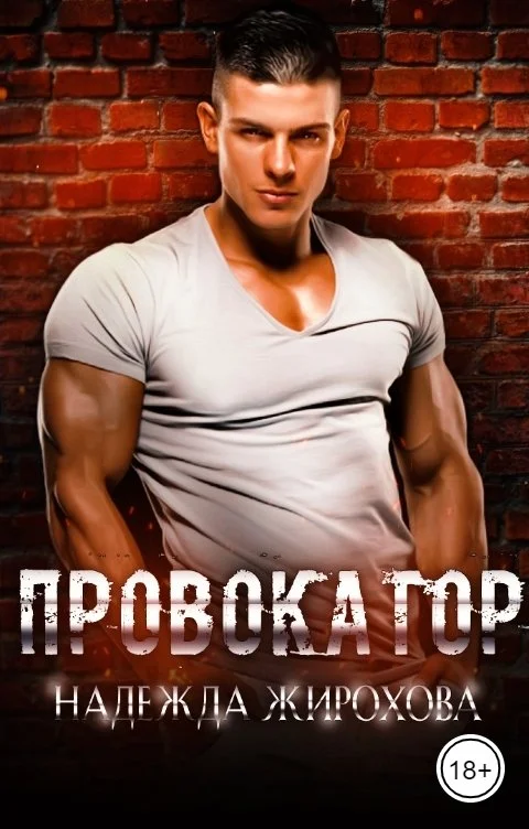 Обложка Провокатор