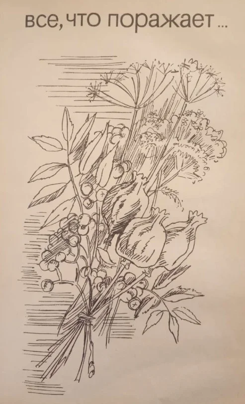 Обложка Всё, что поражает...