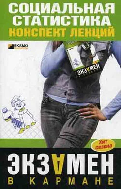 Обложка Социальная статистика: конспект лекций