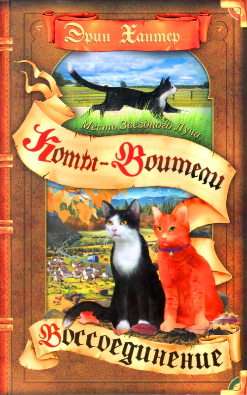 Обложка Месть Звёздного Луча. Воссоединение