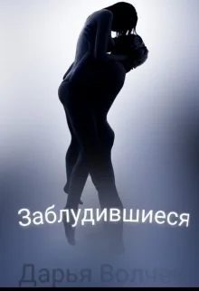 Обложка Заблудившиеся