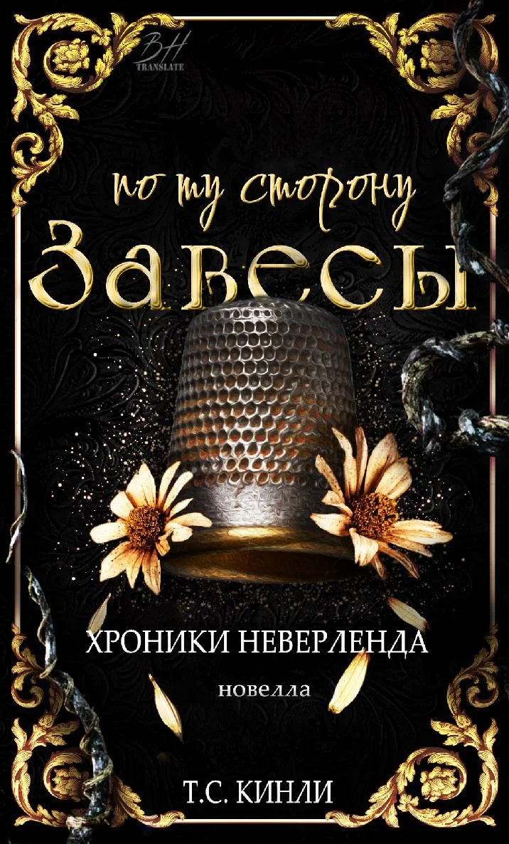 Обложка По ту сторону Завесы