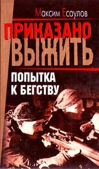 Обложка Попытка к бегству