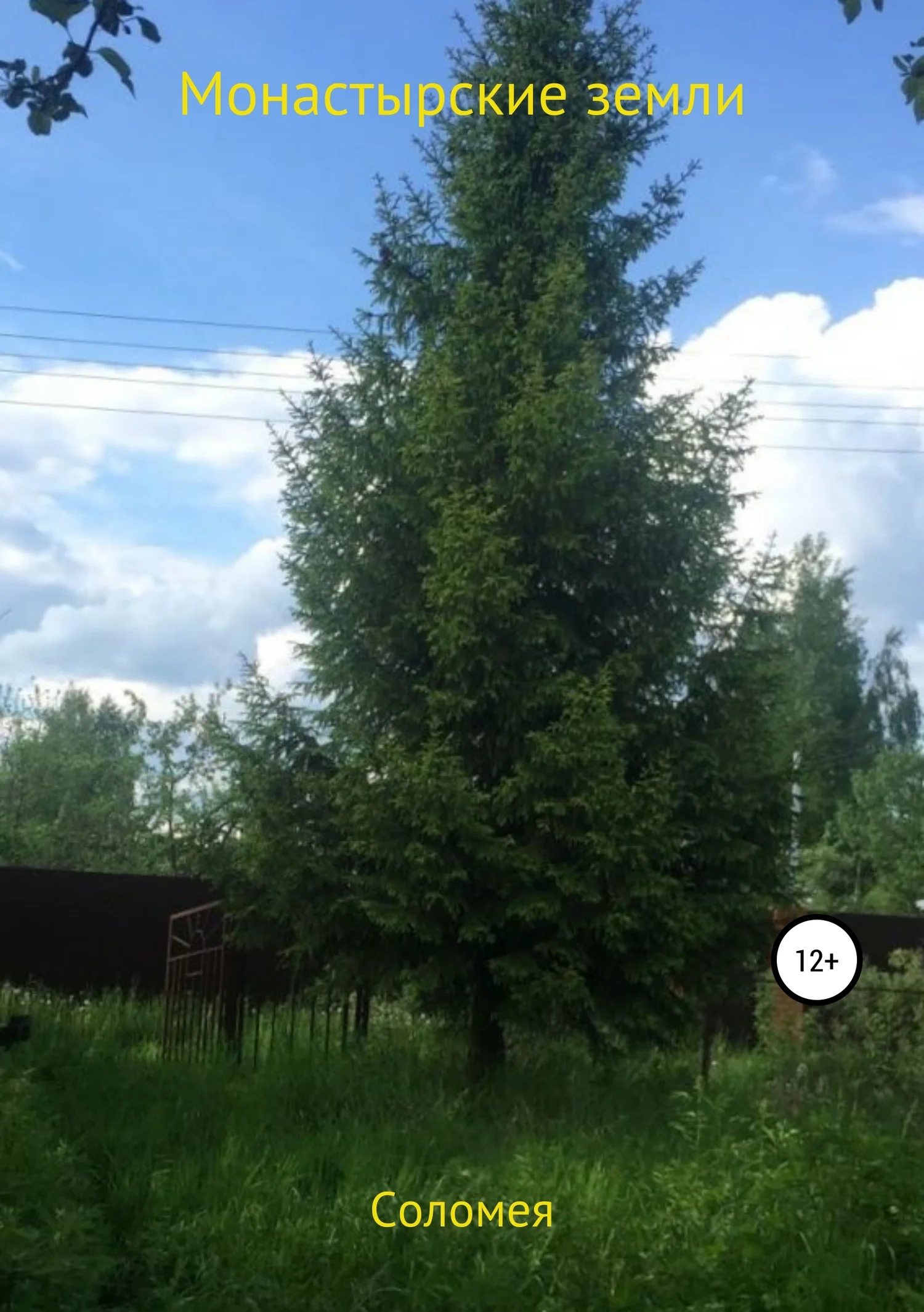 Обложка Монастырские земли