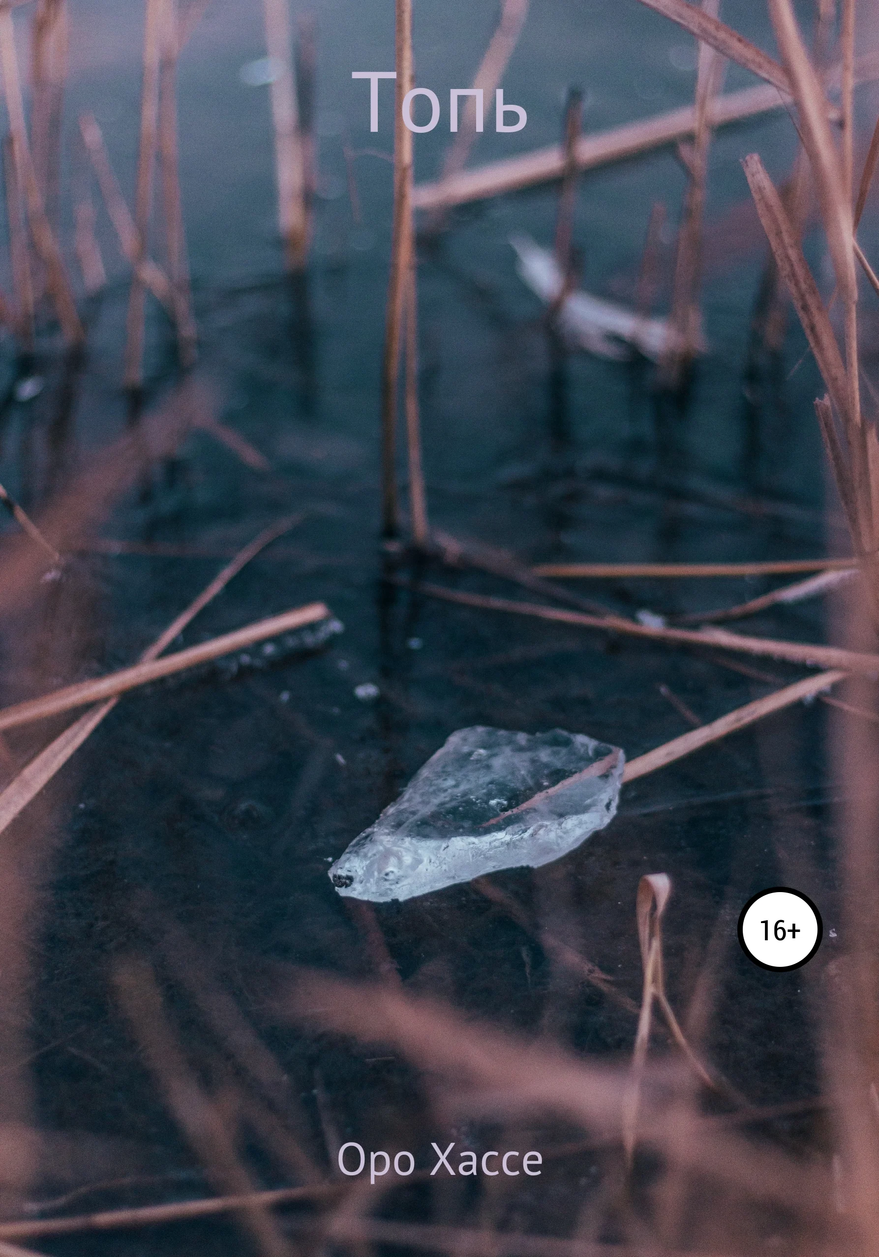 Обложка Топь