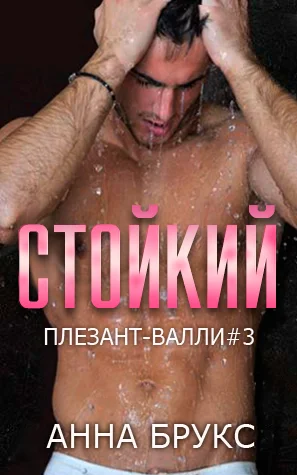 Обложка Стойкий