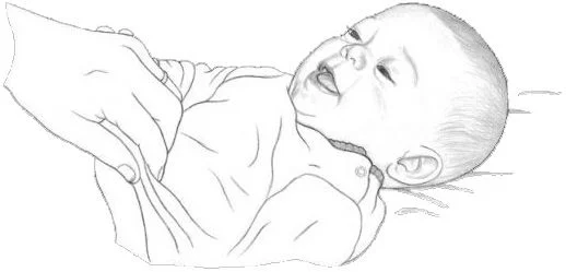 Обложка Мой маленький. От рождения до 5 лет