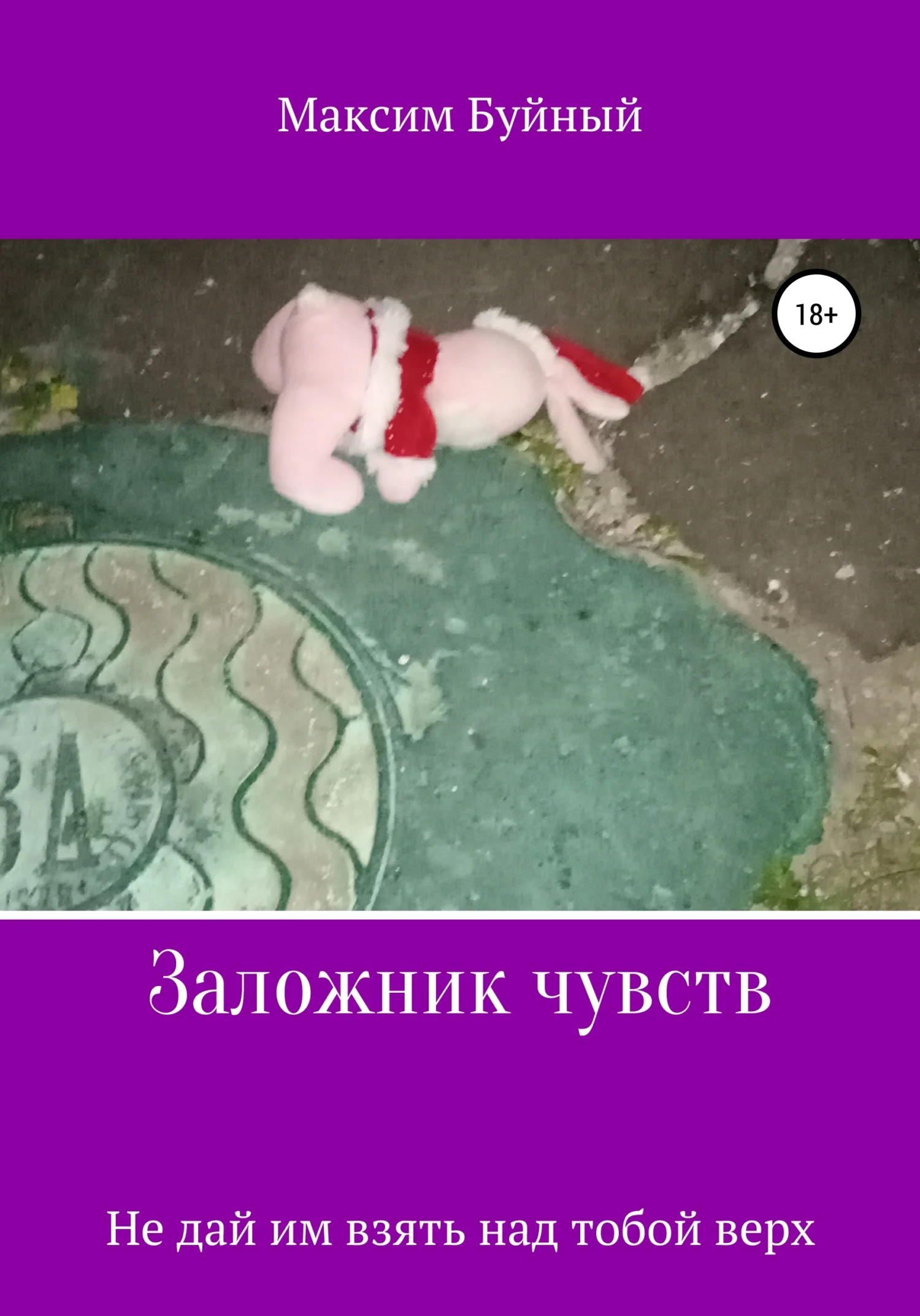 Обложка Заложник чувств