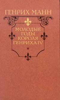 Обложка Молодые годы короля Генриха IV