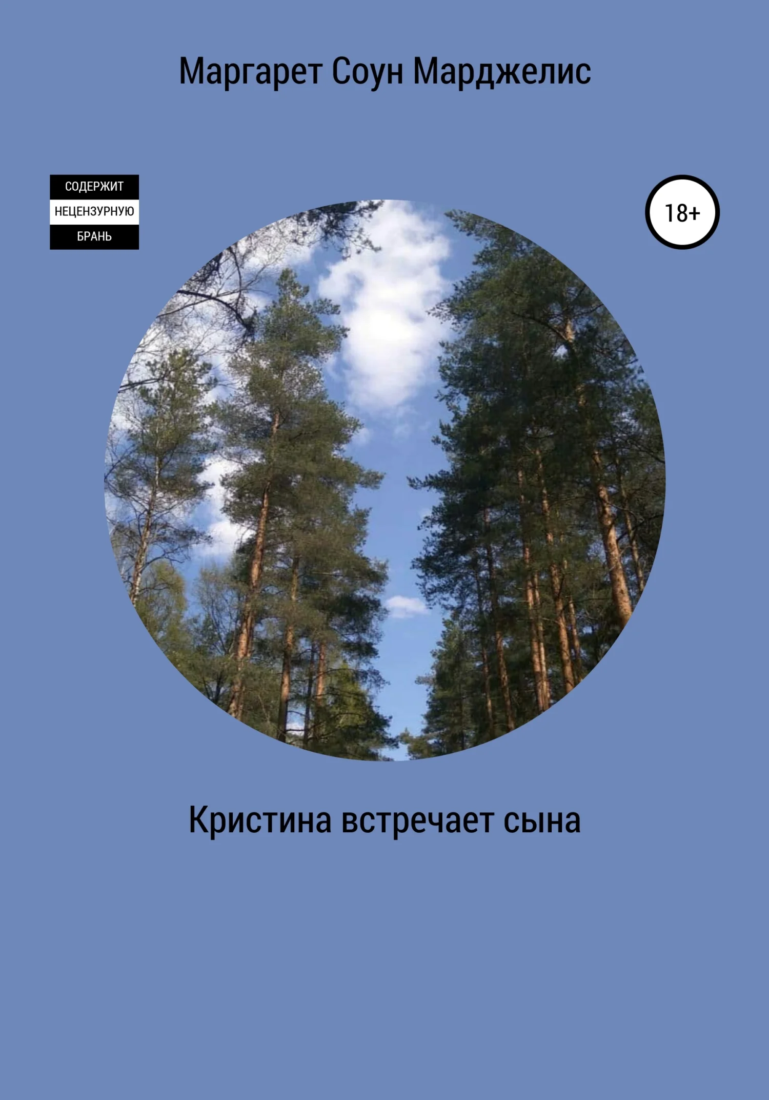 Обложка Кристина встречает сына